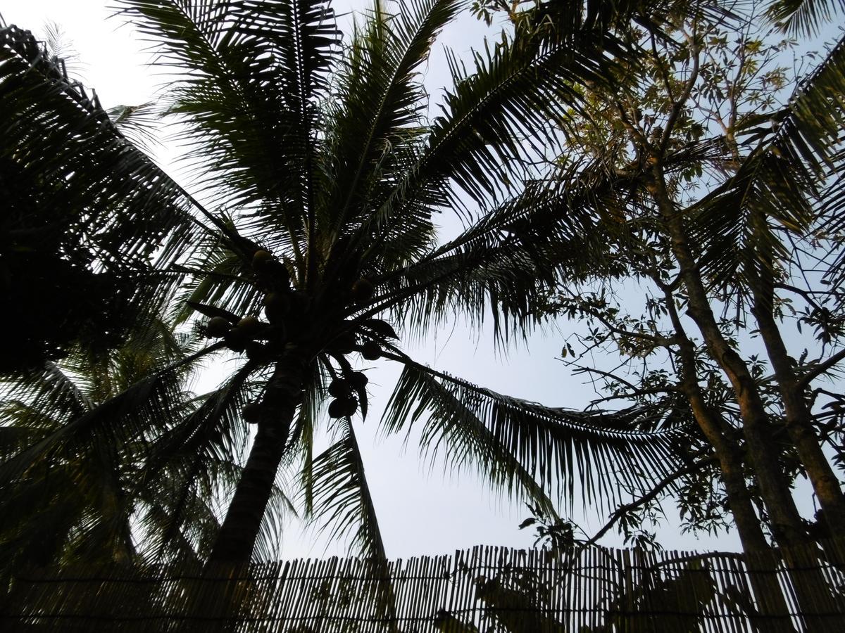 Andre Boutique Villa Siem Reap Exterior photo